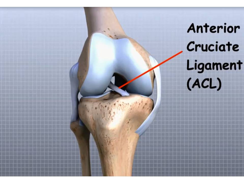Legamento Crociato Anteriore
